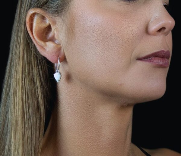 creadi-porte-creoles-argent-lambi