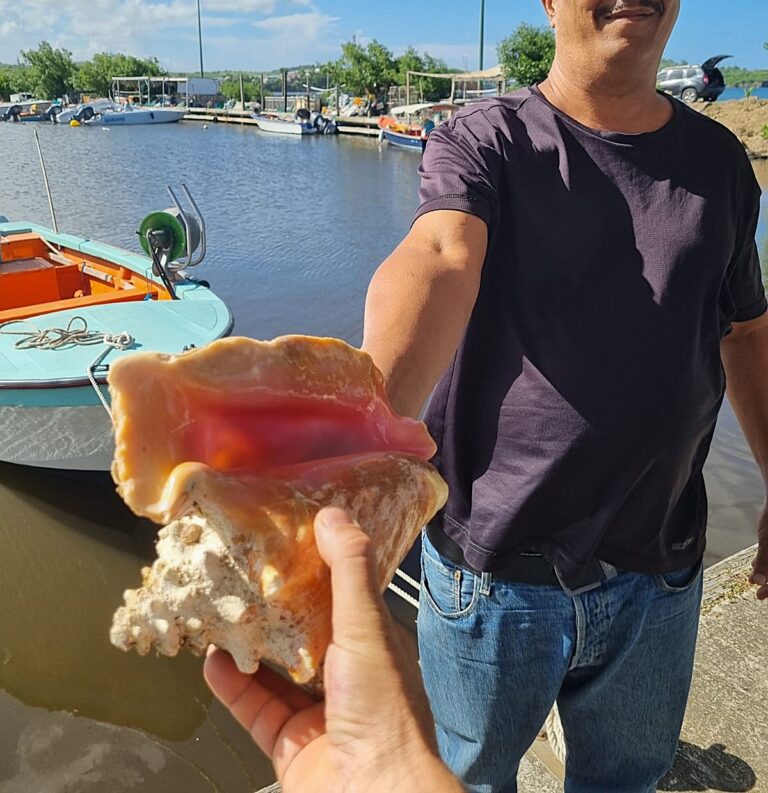 lambi-rose-pêcheur-martinique-port